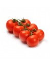 Tomate de Rama (Bandeja 1kg)