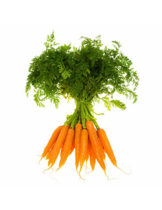 Zanahoria (Manojo)