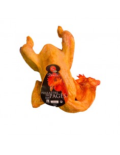 Pollo de Payés