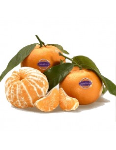 Mandarina Bugui