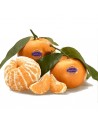 Mandarina Bugui